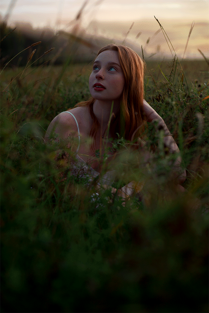 WilliamMitchellPhoto---Signature-Edits-Free-Raws-v2