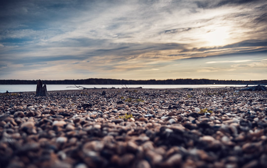 SPC_9038_Insta_web-min